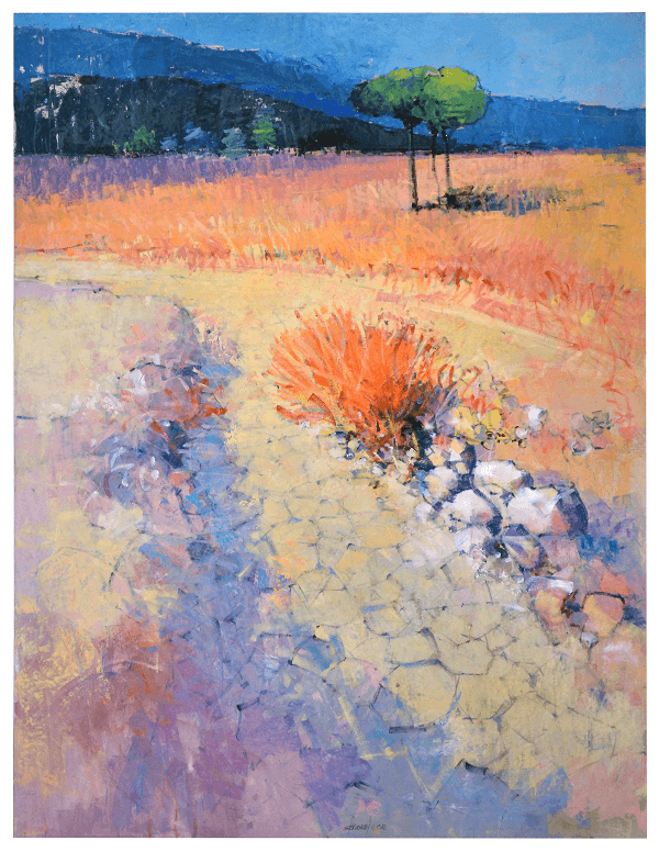 Colori del deserto