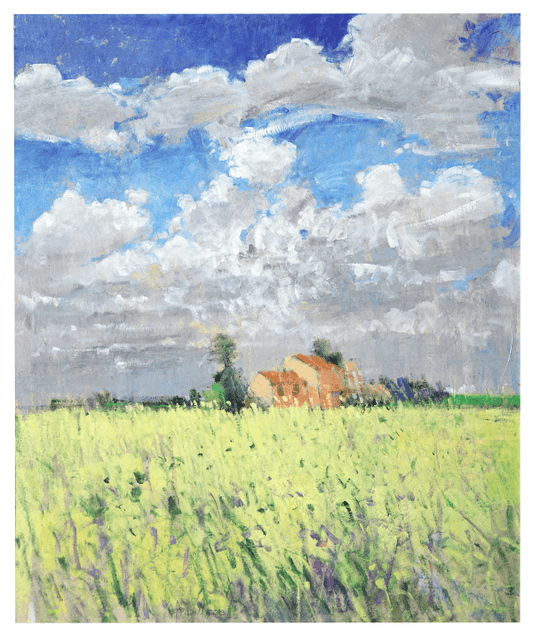Rapeseed field II