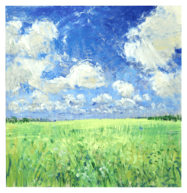 Campo di colza I