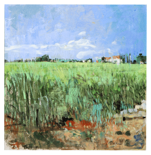 Between Wheat and Clouds