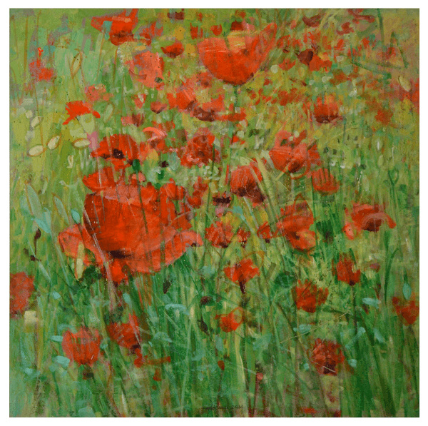 Poppies