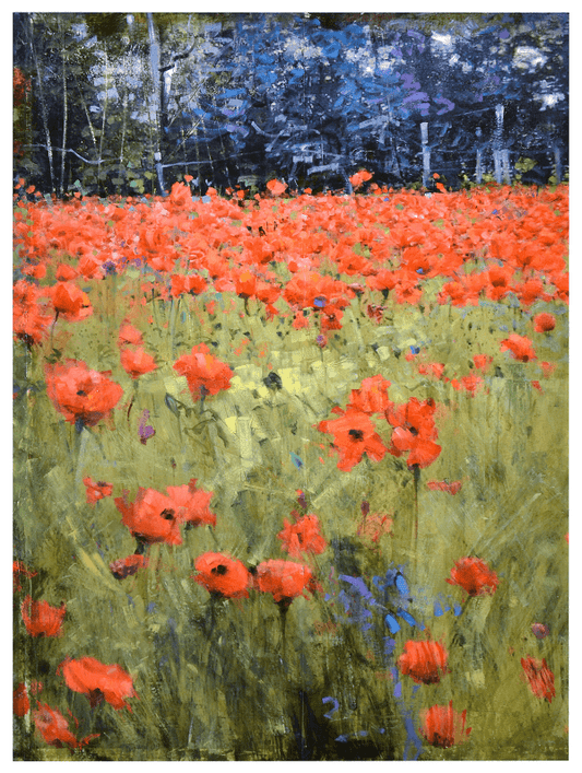 Field of poppies